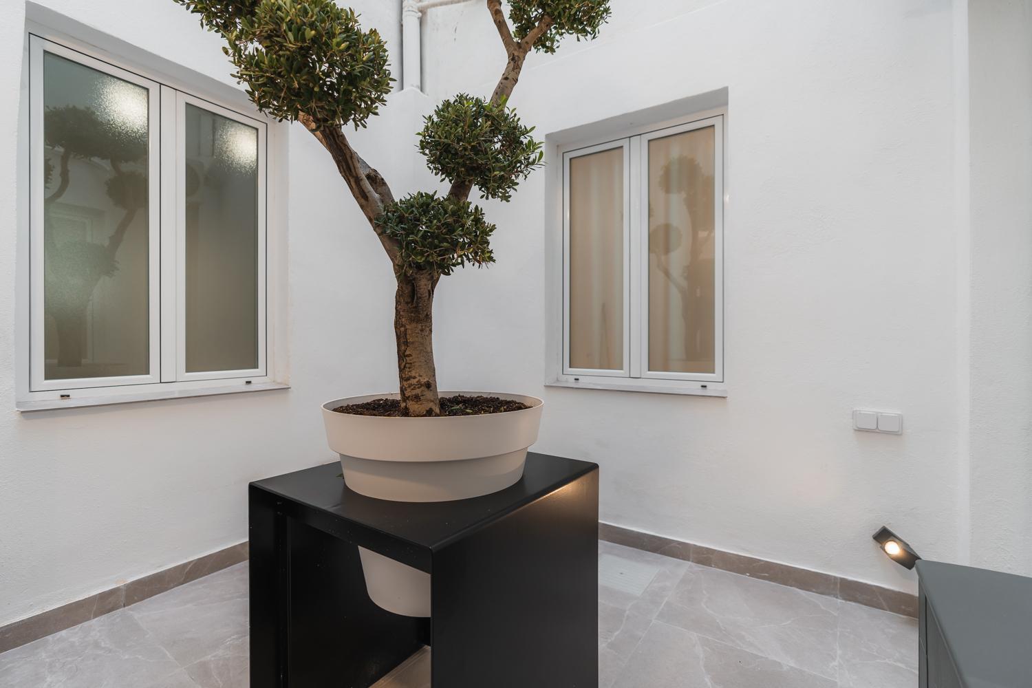 Tuguest Buensuceso Apartment Гранада Екстер'єр фото